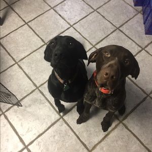 Meet your Posher, Mitch